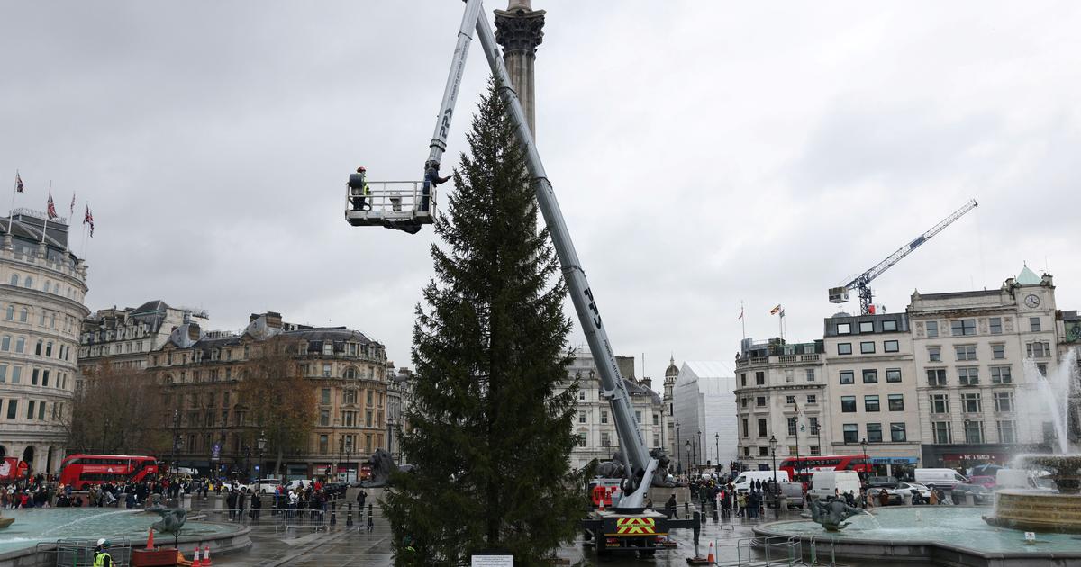 'Where's the second part of the tree?', 'It's awful' Trafalgar Square