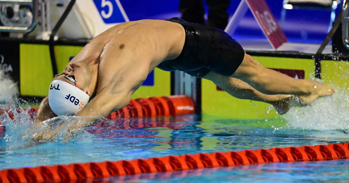 double blow for Tomac crowned in the 100m backstroke, Ndoye-Brouard 2nd