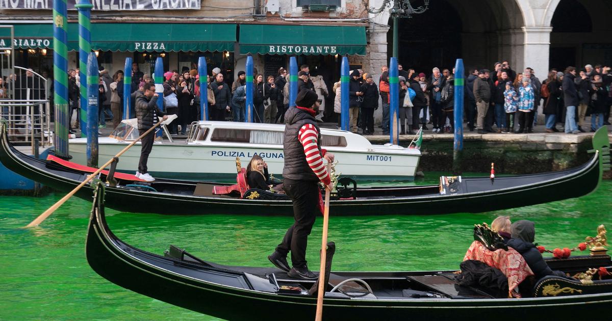 I combattenti ecologisti colorano in verde il Canal Grande di Venezia e tanti fiori d’Italia