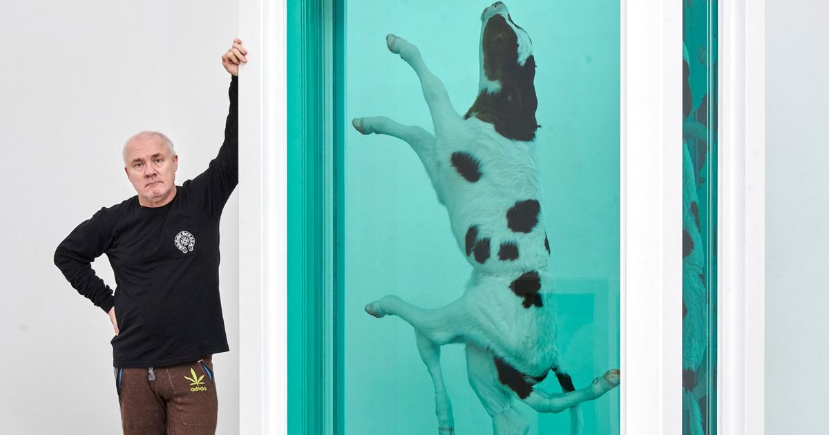 Damien Hirst, le «bad boy» de l’art anglais, s’empare de Château La Coste