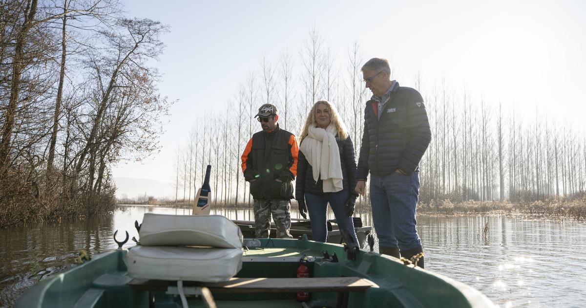 Bouchage Plain Floods Again: Isère Underwater to Protect Lyon from Flooding