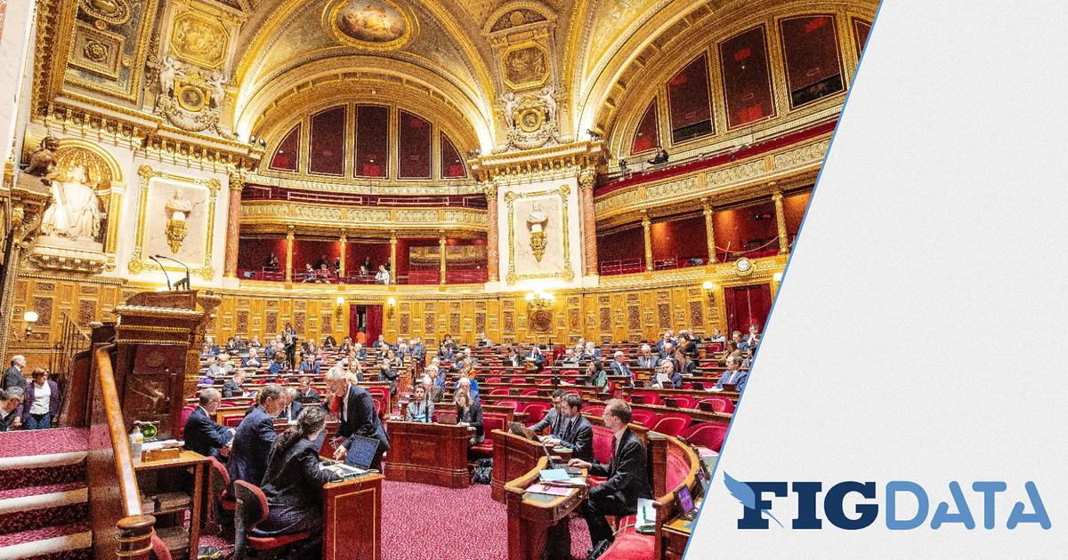 Loi Immigration : Votre Sénateur A-t-il Voté Le Texte