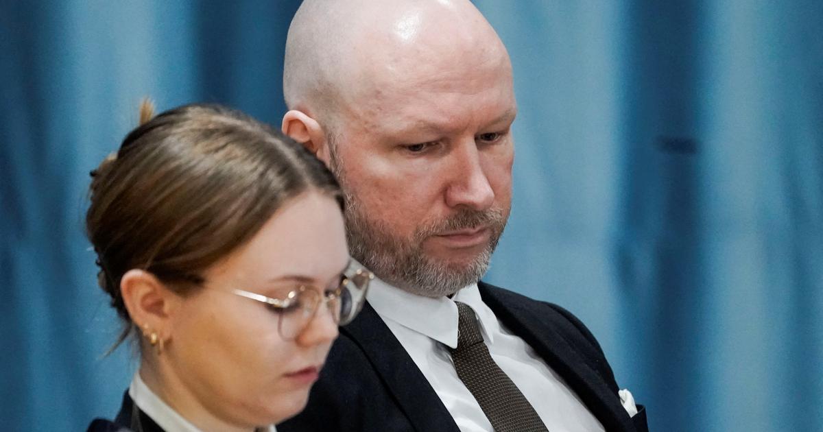 nynazisten Breivik saksøker staten igjen for å protestere mot hans isolasjon