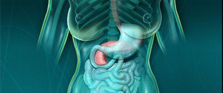 lipase c est quoi leve : que signifie ce rsultat sanguin ? lipase c'est quoi Les lipases