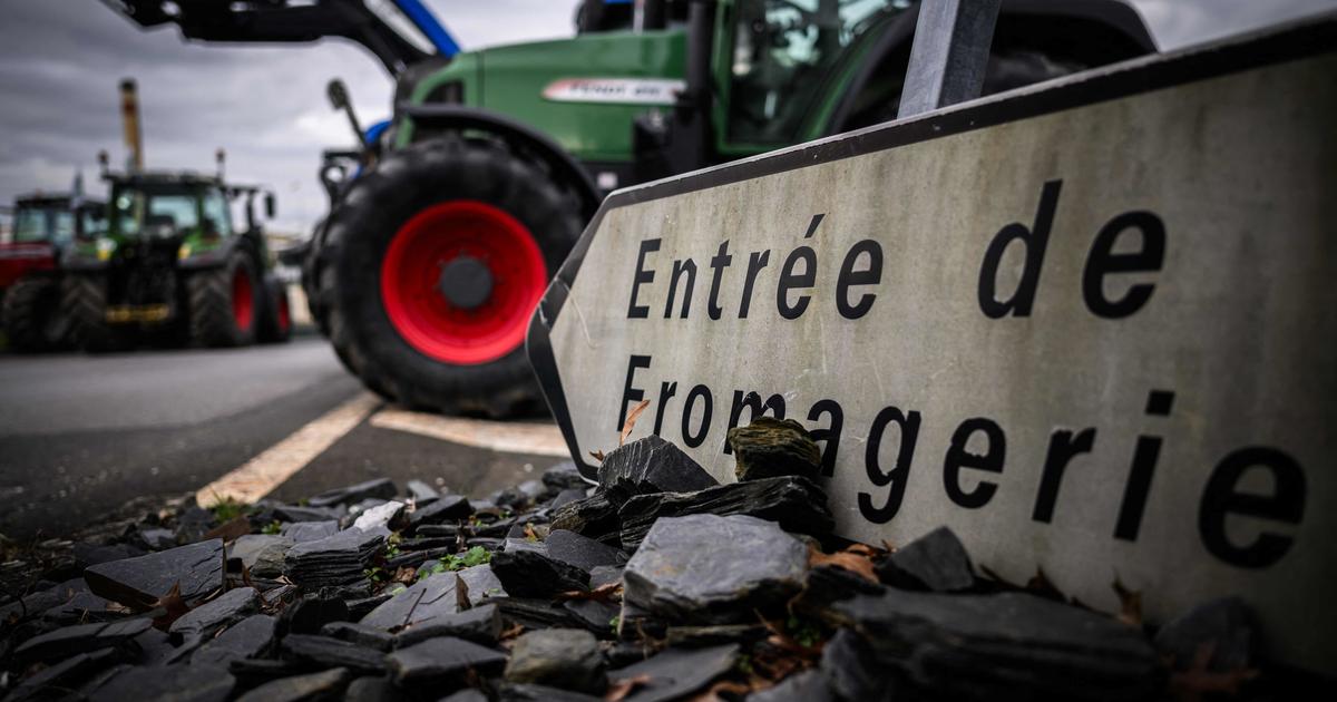 Des Agriculteurs Manifestent Dans L’Ouest Pour Obtenir De Lactalis Un ...