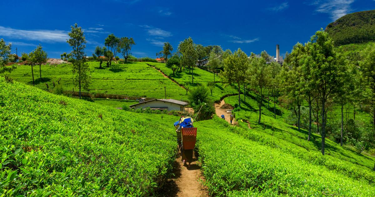 sri-lanka-que-faire-et-que-visiter-plus-belles-plages-h-tels