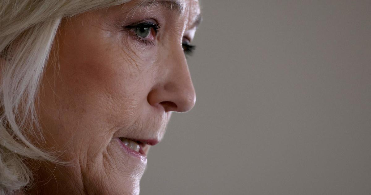 Marine Le Pen distantieert zich van haar Duitse partners in de partij Alternatief voor Duitsland