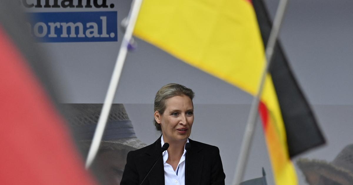 In Deutschland ist die AfD mittlerweile die zweitstärkste politische Kraft im Land