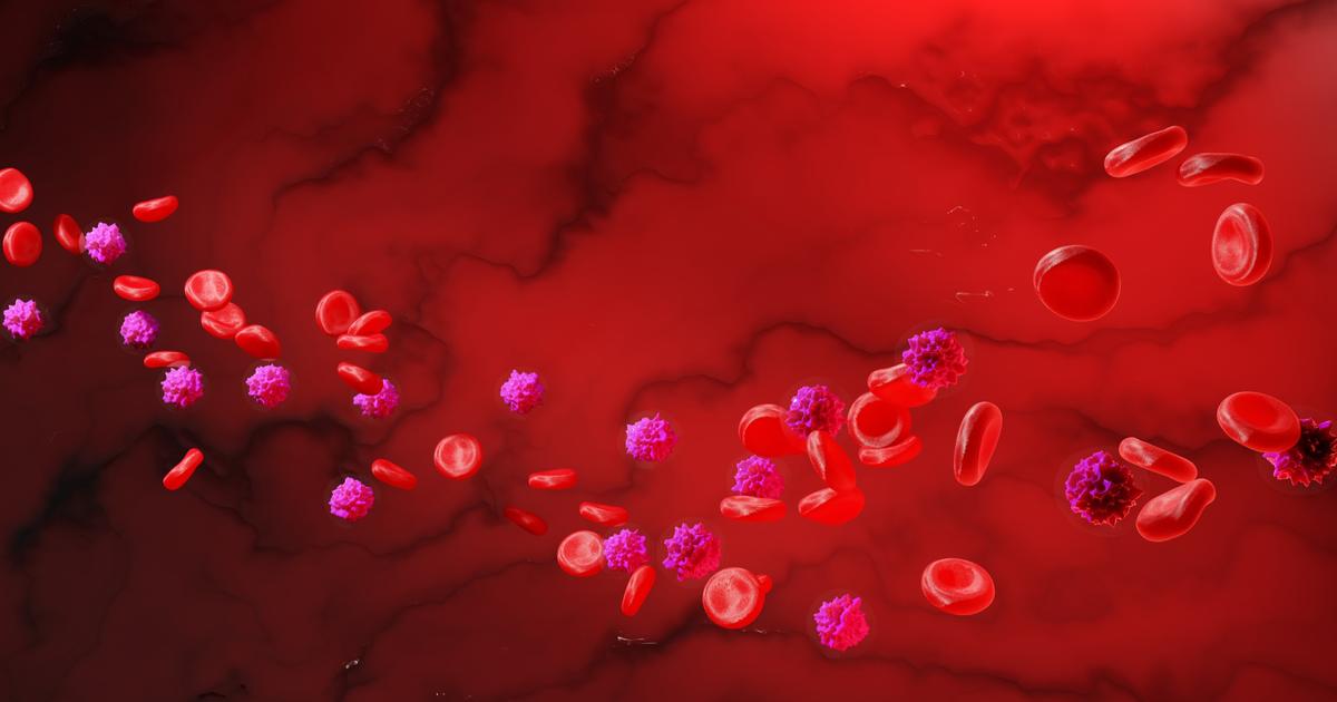 Les cellules souches : des découvertes révolutionnaires dans le système immunitaire