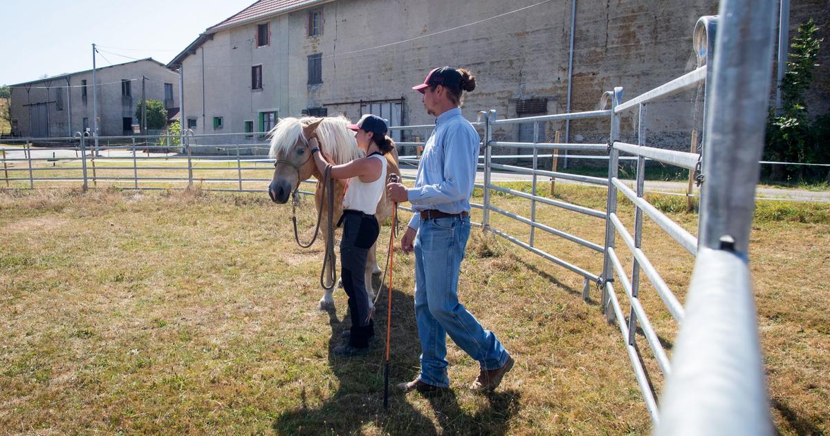 Innovative therapeutic alliance between humans and animals in Isère