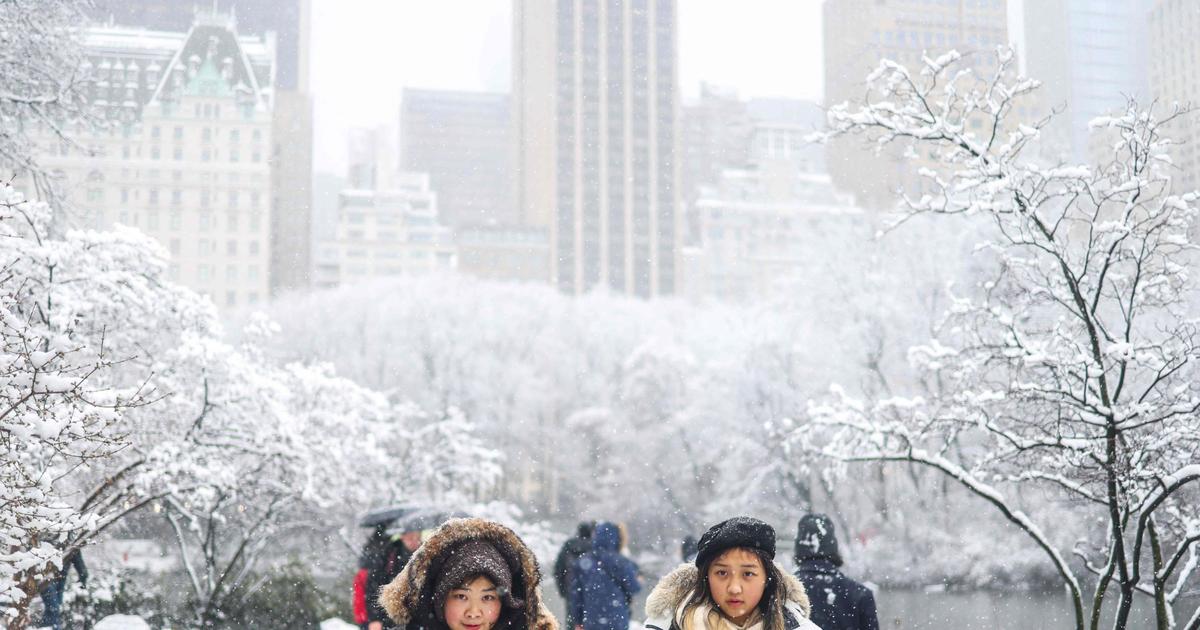 Snowstorm paralyzes New York