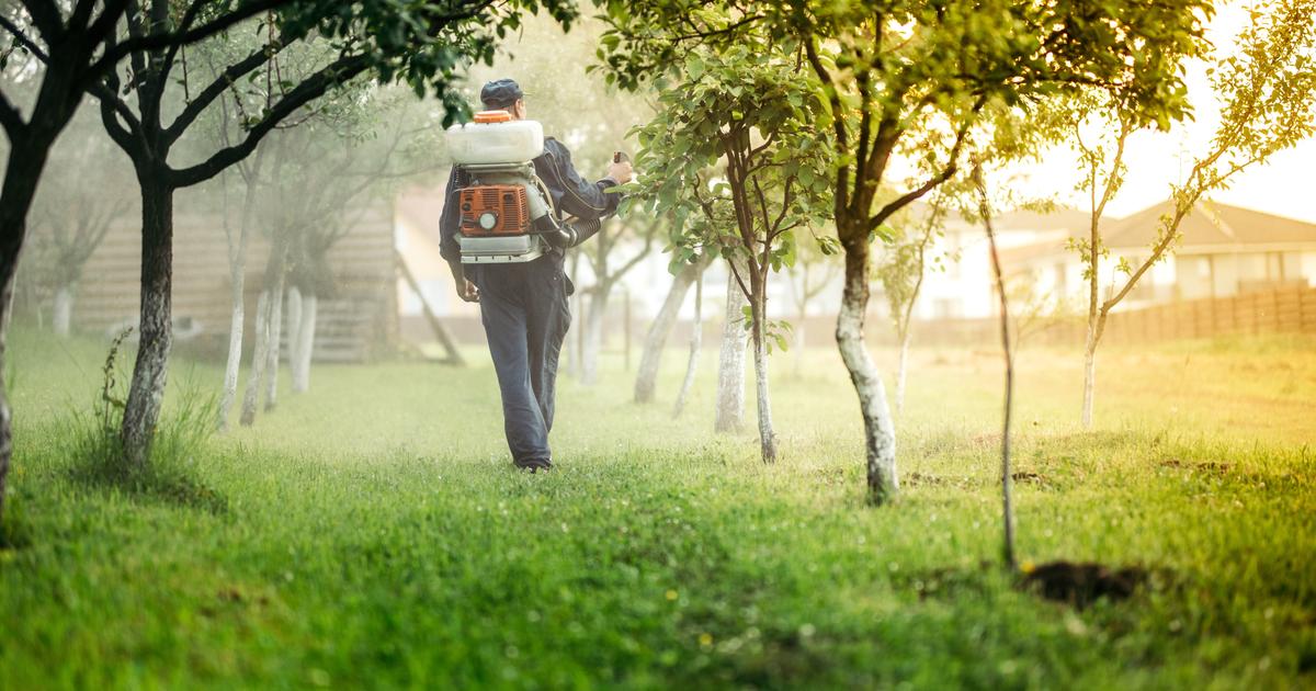人間の健康に対するそれらの影響について私たちは何を知っていますか?