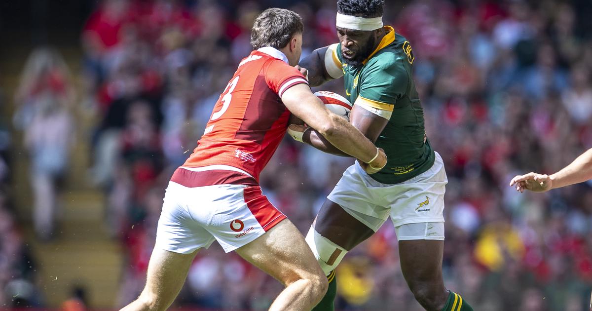 Rugby: l'Afrique du Sud affrontera le pays de Galles en juin à Twickenham