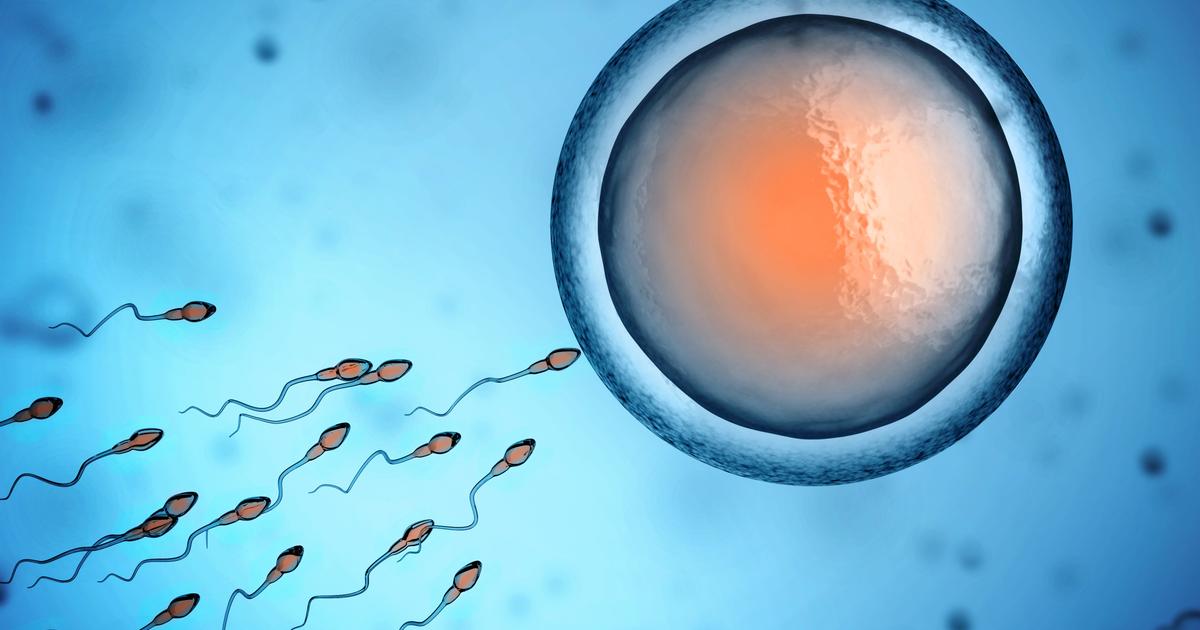 ultrasound stimulates “lazy” sperm