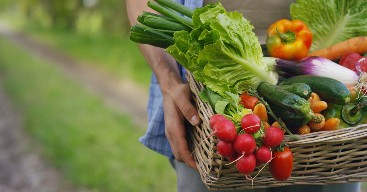 Fruits et légumes : leur prix est un frein pour les Européens, qui souhaitent en consommer davantage