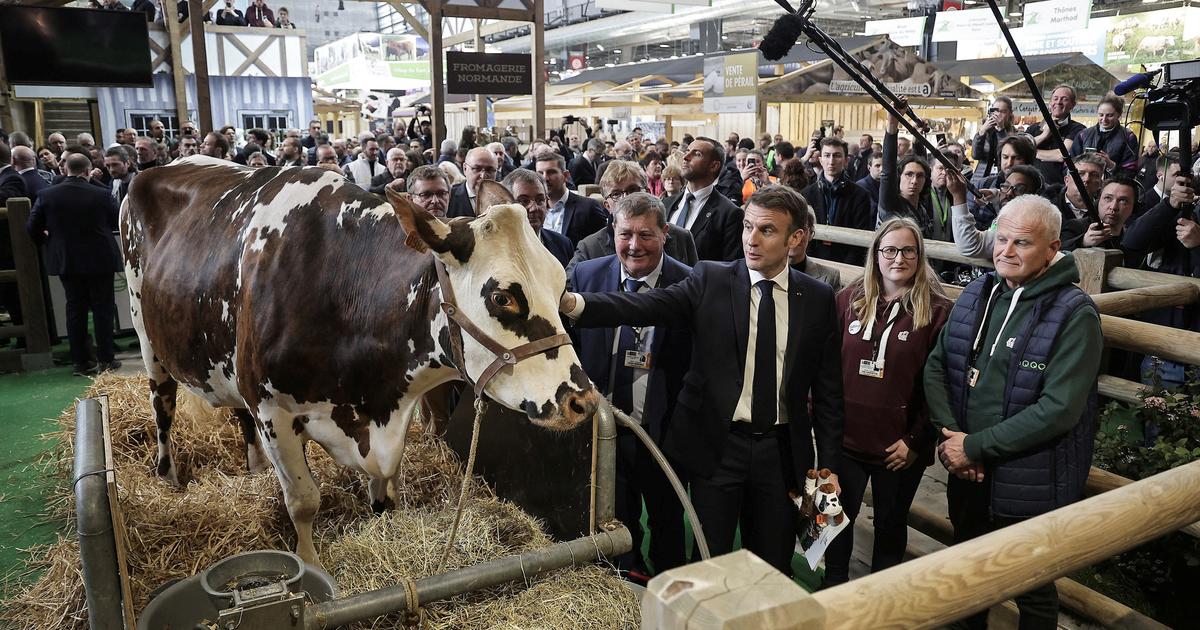 Agriculture: pourquoi les prix planchers voulus par Emmanuel Macron ne fonctionneront pas