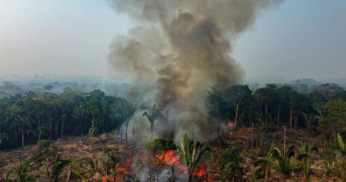 quase 3 mil incêndios florestais na Amazônia, recorde para o mês de fevereiro
