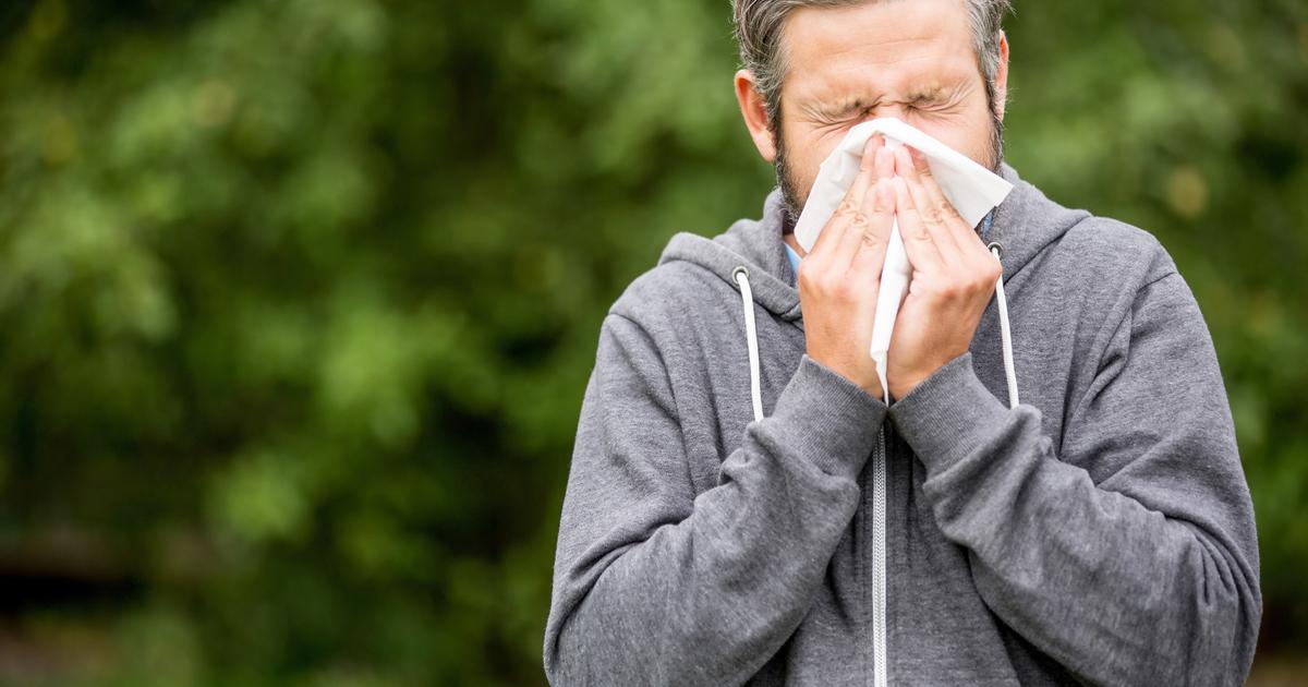 Allergies : comment maximiser l'efficacité de ses antihistaminiques