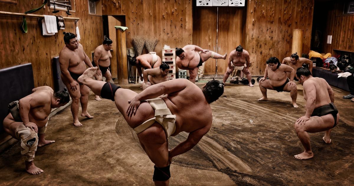 En compagnie de sumos, avec Kengo Kuma... En immersion dans le Tokyo des légendes