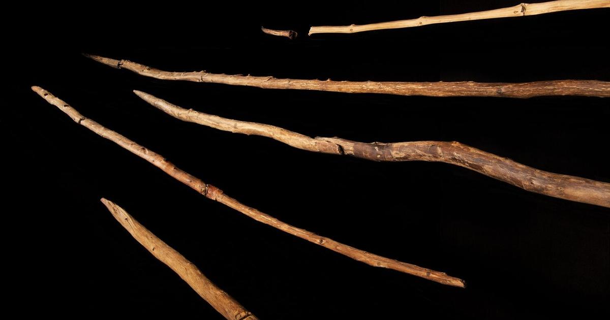 An extremely rare set of 300,000-year-old wooden tools has been discovered in Germany