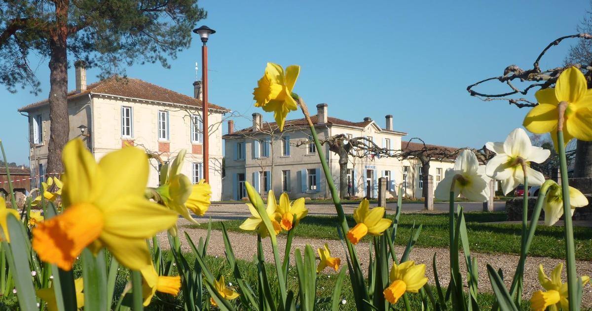 «On ne veut pas être le méga lotissement du bassin d’Arcachon» : un maire de Gironde résiste à l’urbanisation
