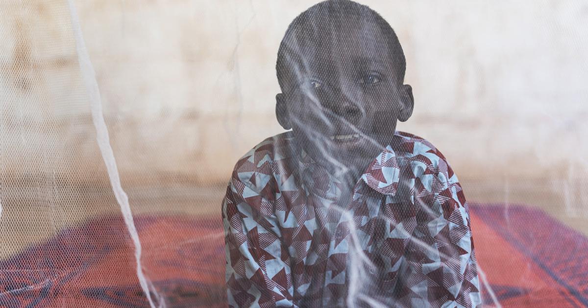 Des moustiquaires nouvelle génération s’avèrent bien plus efficaces contre le paludisme
