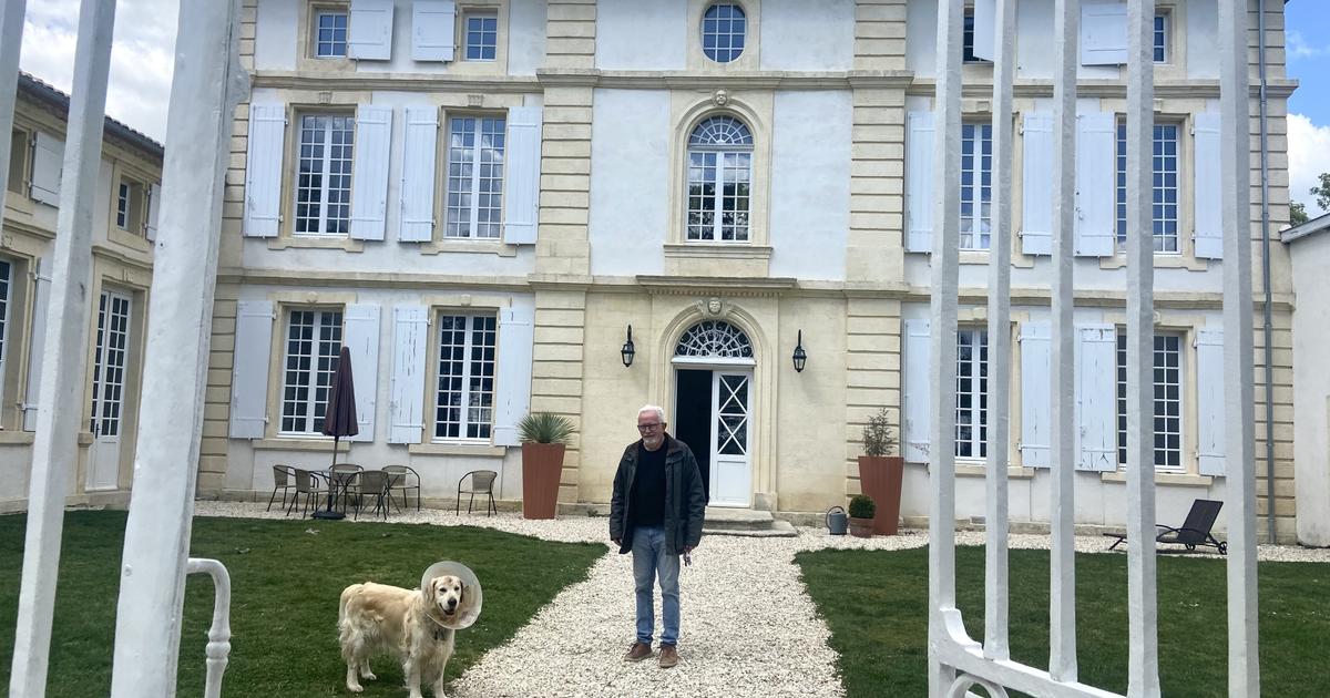 Regarder la vidéo En Gironde, un médecin urgentiste à la retraite sauve des vignes de l’arrachage