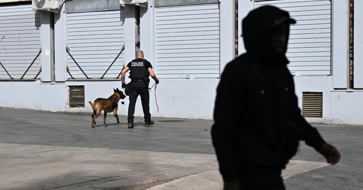 Regarder la vidéo «Ça ne s’arrêtera jamais» : après cinq fusillades en un week-end, Marseille de nouveau exposée au spectre du narcobanditisme