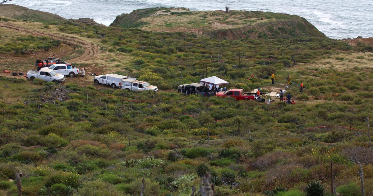 Mysterious Deaths of Australian Surfers and American in Mexico: Latest Updates and Investigation