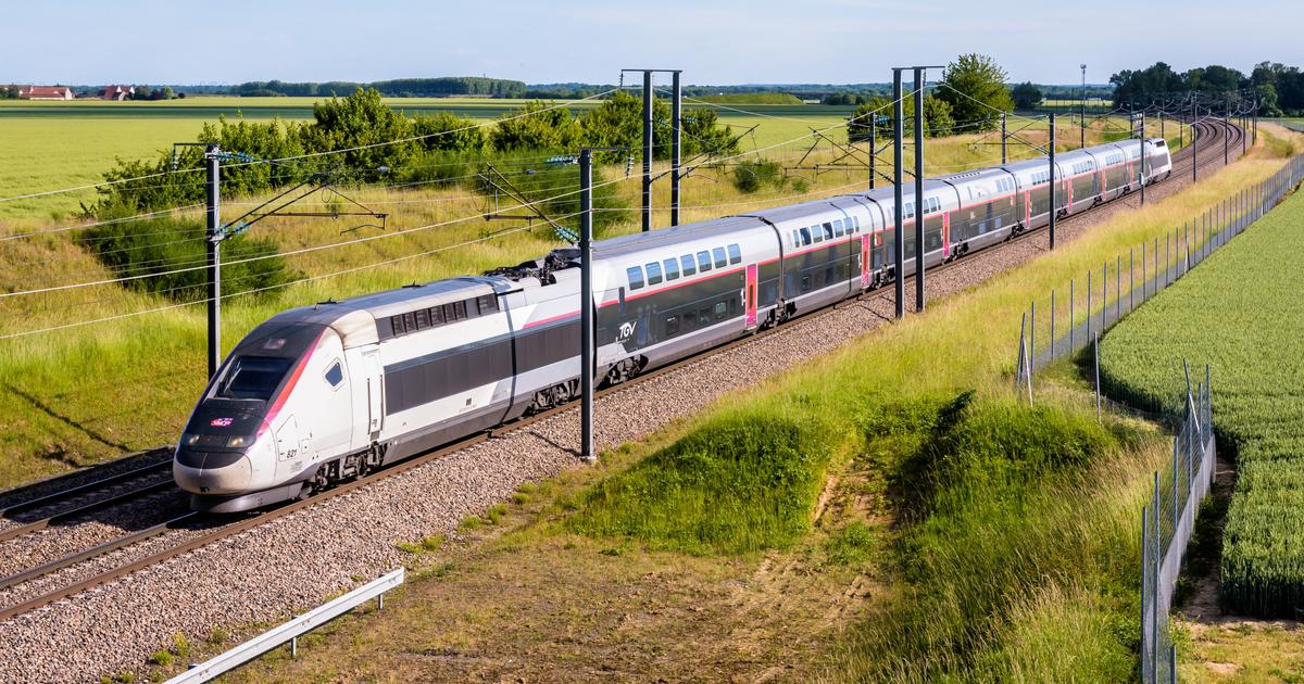 Regarder la vidéo Un TGV Paris-Bordeaux s’arrête en raison d’un colis suspect, les passagers sommés de descendre avec leurs bagages