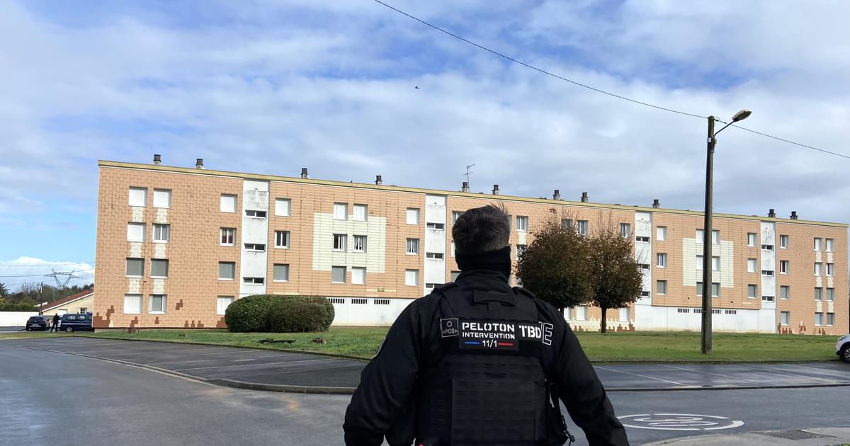 Knife homicide in Gironde: suspect in police custody