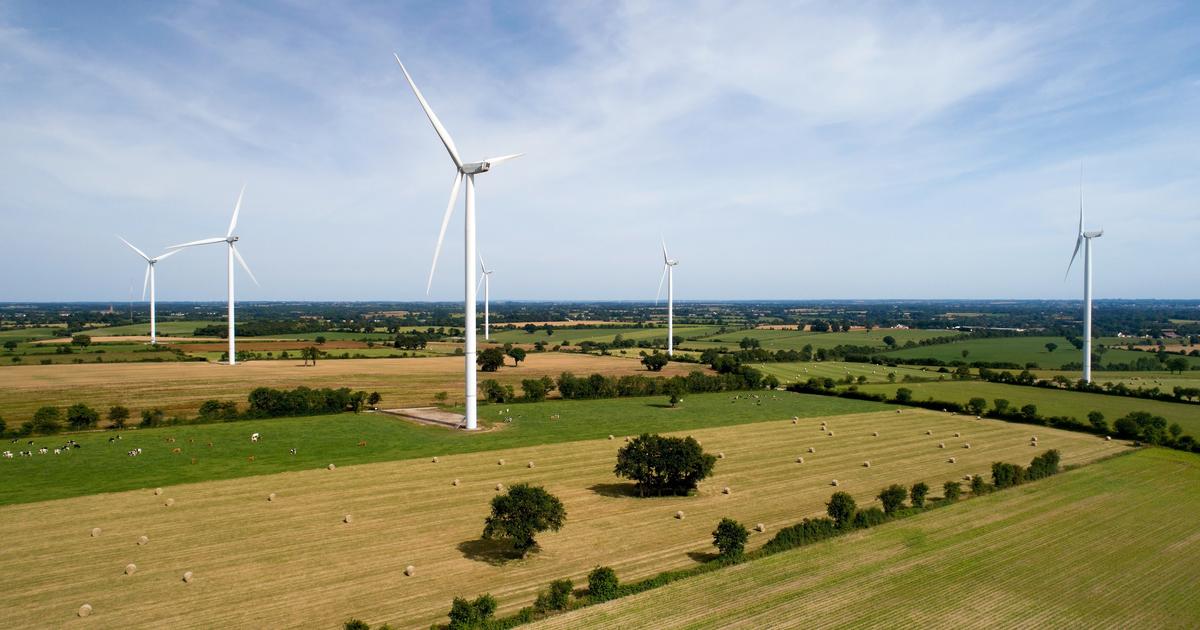 «Le risque, c'est que tout s'arrête», inquiétudes chez les acteurs et les industriels des énergies renouvelables