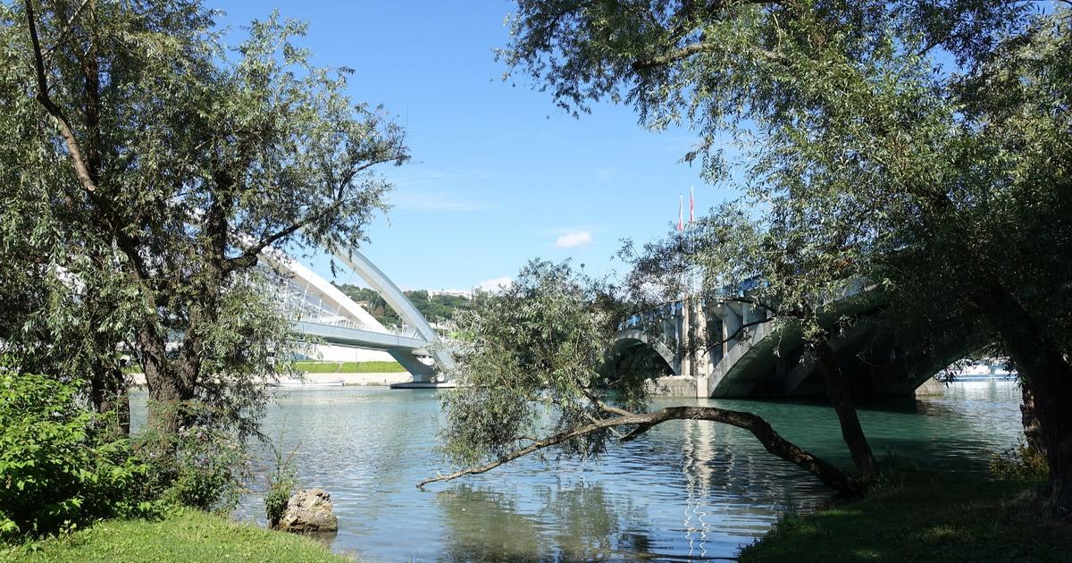 Regarder la vidéo À Lyon, feu vert pour la baignade dans le Rhône