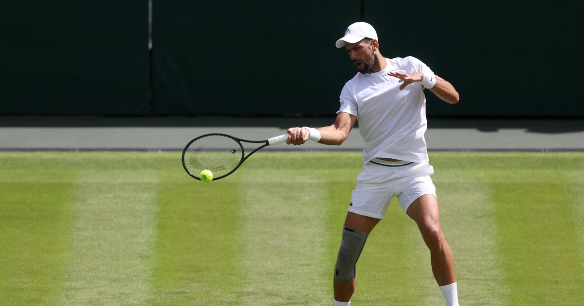 Regarder la vidéo Wimbledon : Novak Djokovic bien présent dans le tableau final