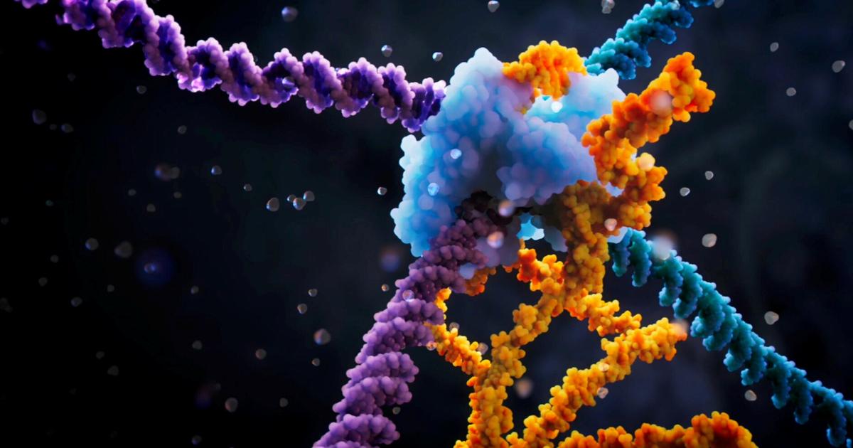 Na de ‘genenschaar’ zou ‘RNA-brug’ een revolutie teweeg kunnen brengen in het bewerken van het genoom