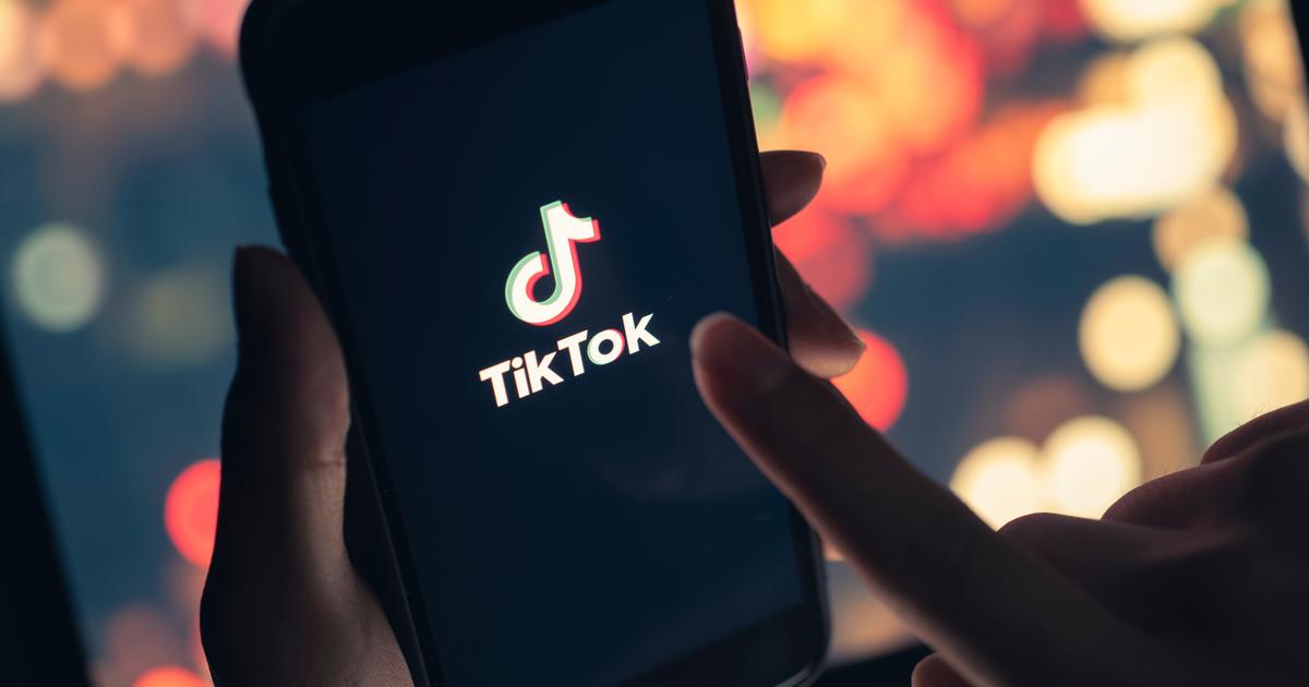 À Nice, un fiché S interpellé par le Raid après avoir exhibé une arme de poing sur TikTok