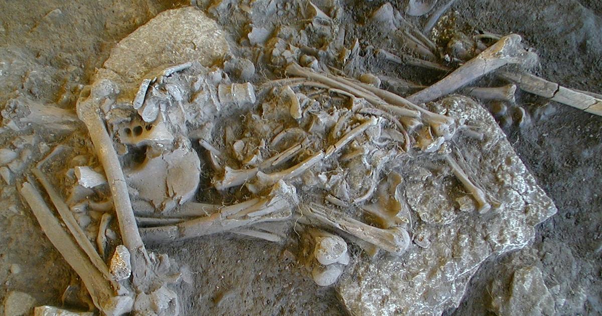 ペストはヨーロッパにおける「新石器時代の人口の減少」を引き起こしたのか？