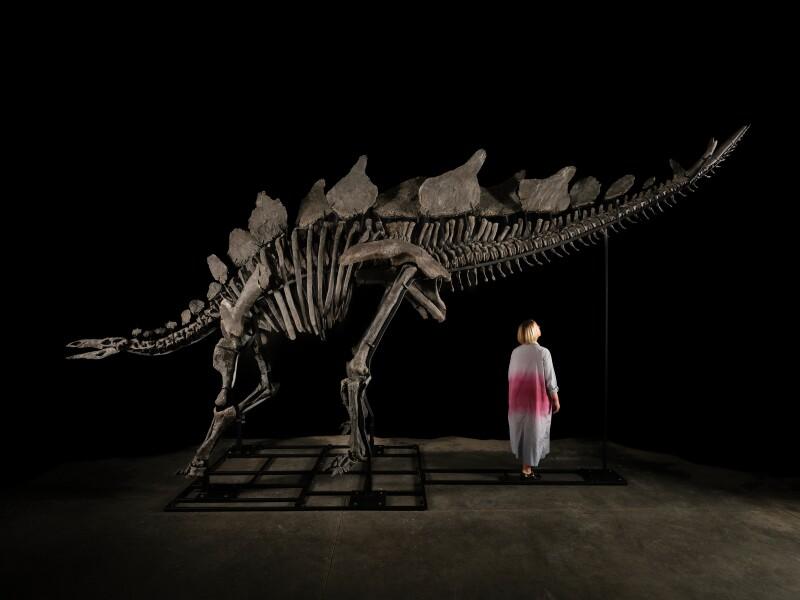 American billionaire Ken Griffin has bought the world's most expensive dinosaur skeleton.