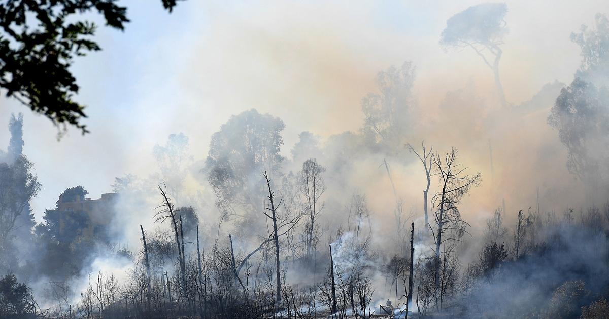 Quattro soccorritori gravemente ustionati in un incendio alla periferia di Roma