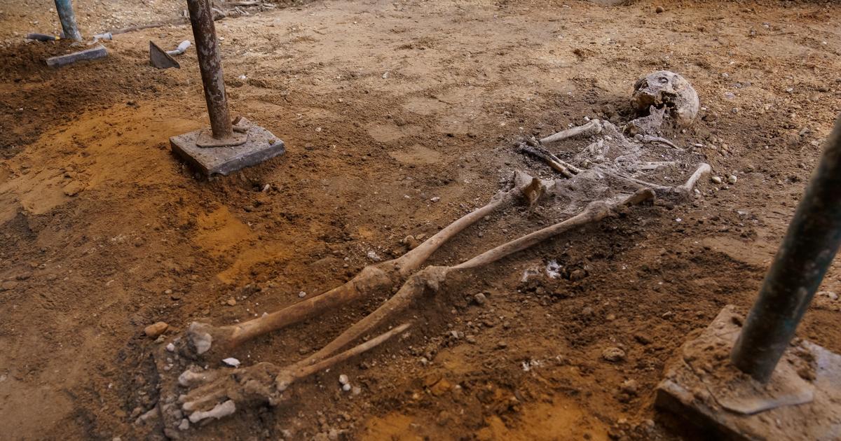 50 “fully preserved” Viking skeletons discovered in Denmark