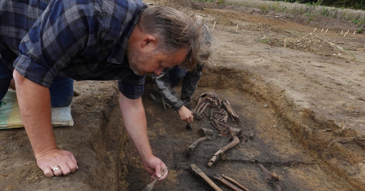 50 ‘volledig bewaarde’ Viking-skeletten ontdekt in Denemarken