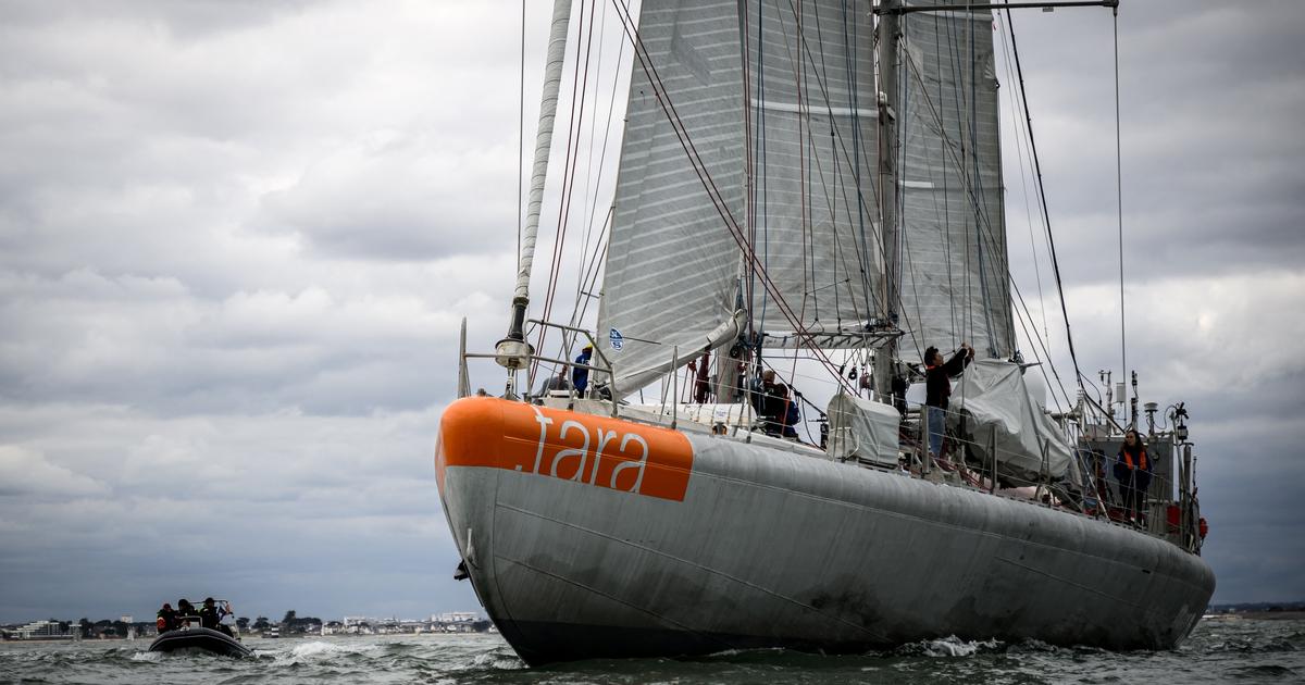La Go lette Scientifique Tara De Retour En France Avec Des d cennies 