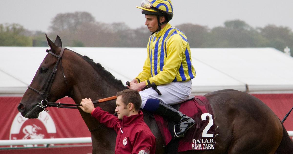 Regarder la vidéo Hippisme : un cheval décède pendant le Qatar Prix de l’Arc de Triomphe