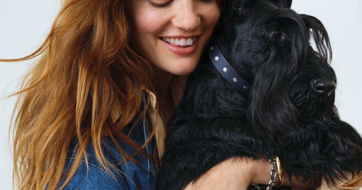 Coffret Bijoux Chien Scottish Agatha - Occasion En Bon état