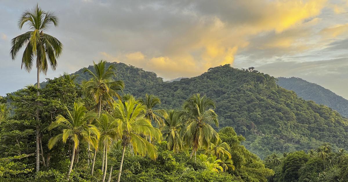 美しい約束を終えたら、COP16 で行動を起こす時が来ました