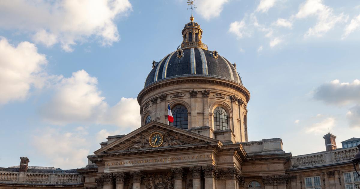 Dictionnaire De L’Académie Française: Les Immortels Se Rappellent Leurs ...