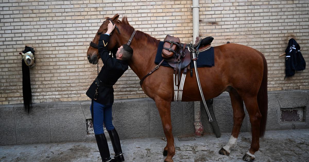 Jeux Olympiques 2024 : quatre chevaux de la garde républicaine décorés lundi