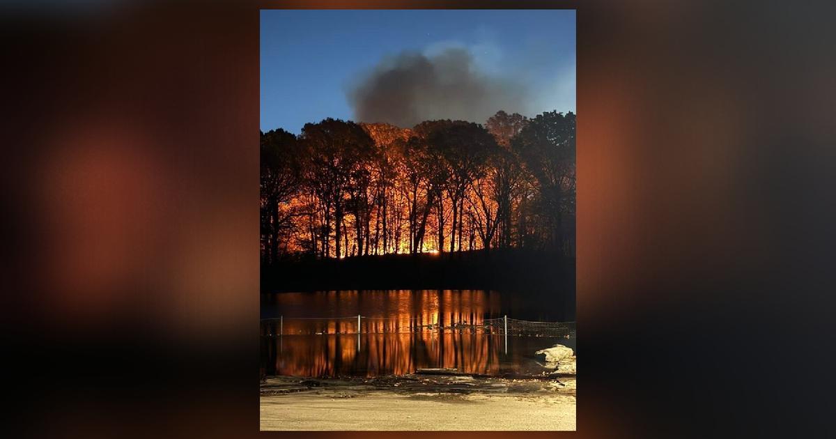 In New York, a brush fire breaks out in drought-stricken Prospect Park