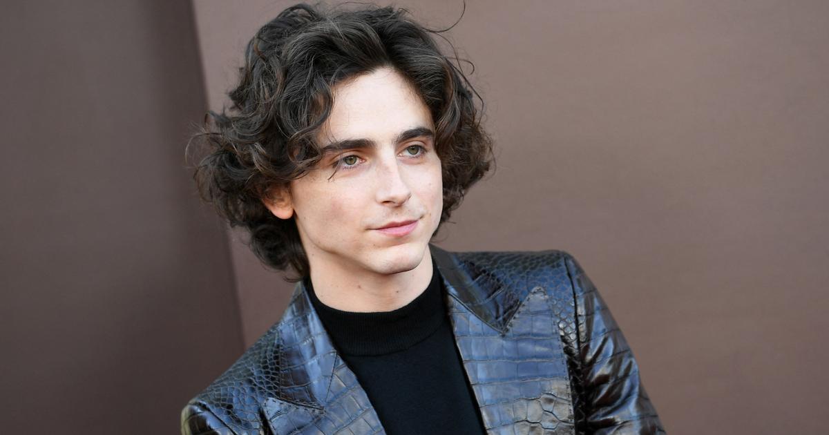 Timothée Chalamet confie avoir été victime de « body shaming » au début ...