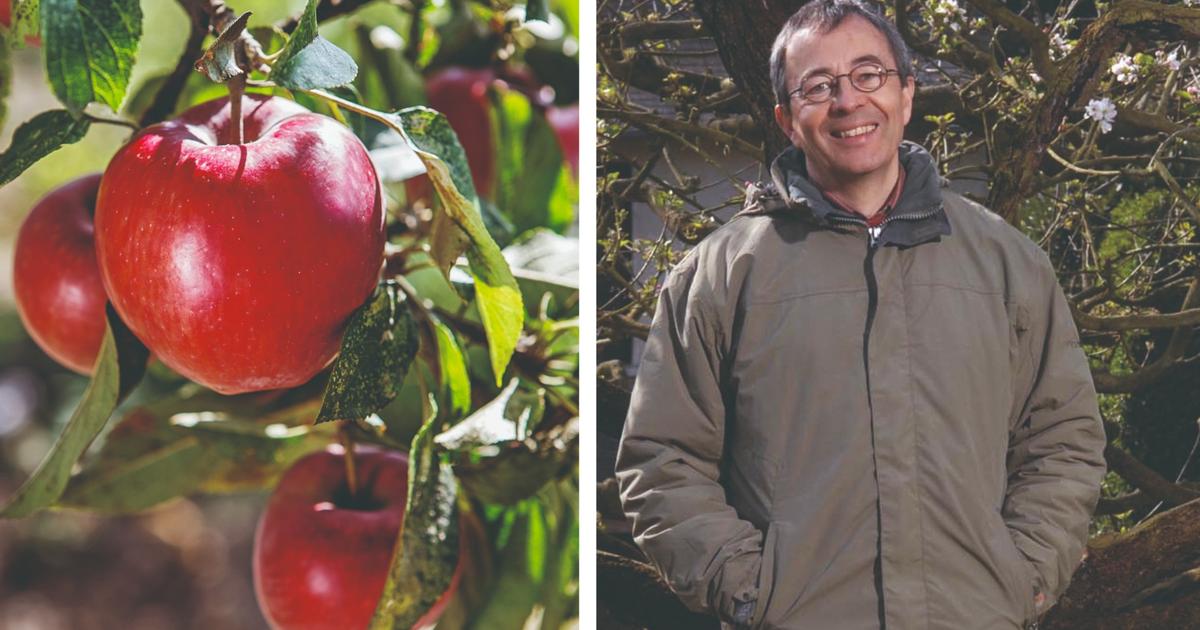 Arbres fruitiers, taille, prévention des maladies... Créez votre verger avec succès grâce à notre expert jardinier